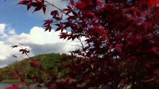 Lake side of autumn in Japan～秋風と紅葉～