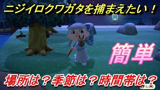 あつまれどうぶつの森　ニジイロクワガタを捕まえる条件とは！？季節は？場所は？時間帯は？　虫図鑑コンプへの道！虫捕り攻略。　最新版【あつ森】