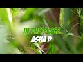 Asha D - In The Place (Official Video)