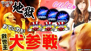 【11シーズン最終戦～犬参戦の巻】サバイバルSLOT 11th ＃５≪わるぺこ≫（ジャグラーシリーズ）