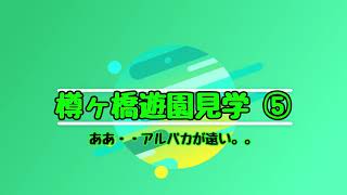 【樽ヶ橋遊園見学⑤】動物・専門学校・飼育員・ペット・ビジネス