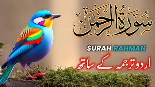 SURAH RAHMAN TARJUMA KE SATH QARI AL SHAIKH ABDUL BASIT ABDUL SAMAD | SURAH AL RAHMAN | EPI - 215