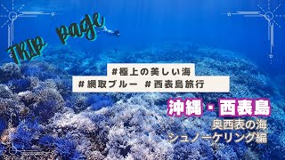 【世界一美しい海】西表島で絶対おすすめなツアー｜超絶キレイな海でのシュノーケリングがヤバかった｜マリウド海人ツアー