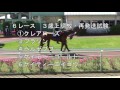 浦和競馬 平成29年度 第２回 ２歳能力試験　2017 05 11　浦和競馬場