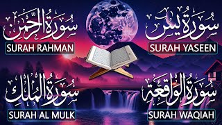 Surah Yaseen (Yasin) | Surah Rahman | Surah Waqiah | Surah Mulk | Beautiful Quran Recitation - 34