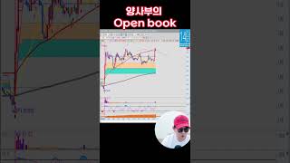 VIP 전용 양사부의 OPEN BOOK 미친 타점