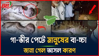 সিলেটে অলৌকিক ঘটনা গাভীর পে*ট থেকে মানুষ আকৃতির বাচ্চা! | Sylhet | BBTV