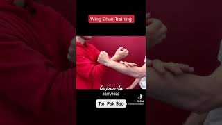 Best Wing Chun Expert : Apprends le Wing Chun kung fu fighting for beginners #ipman #wingchun