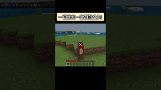 【マイクラ】１兆分の１の確率！マイクラ史上最少確率！【minecraft】 #shorts