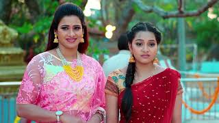 Subhasya Seeghram - శుభస్య శీఘ్రం - Telugu Serial - EP 25 - Mahesh Babu, Krishna Priya - Zee Telugu