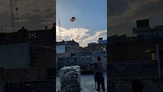 Kite Catching On Basant 2025 💥😍 #shorts #kiteflying #kite #youtubeshorts