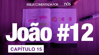 JOÃO COMENTADO POR _nós_ - dia #12 (Capítulos 15)