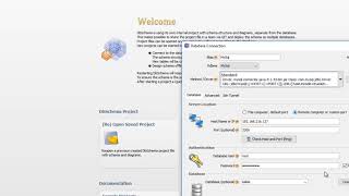 Database Schema Reverse Engineer