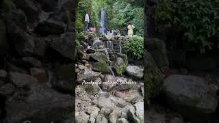 Panchpulla Waterfall Dalhousie