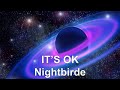 IT’S OK Nightbirde (Lyrics)