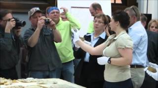 Wayne County Time Capsule 1878
