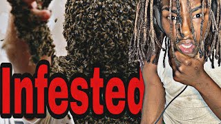 Horrifying insect infested cave deaths