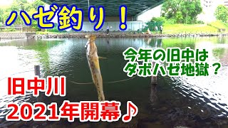 ハゼ釣り！★旧中川★2021 開幕【今年の旧中はダボハゼ地獄？】