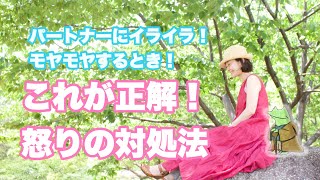 夫に妻にイライラ！　そんな時の怒りの対処法＃夫婦喧嘩＃離婚