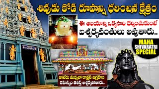 Maha Shivaratri SPECIAL Video : Paadagaya Sri Kukkuteswara Swamyvari Temple Tour | Pitapuram