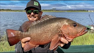 LAND LOCKED LAKES | Fishing The Gold Coast.