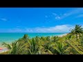 Maragogi Praia De Antunes Restaurante Marinheiros Beach E Casa Pra Alugar #alagoas