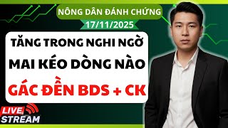 Chứng khoán hôm nay / Nhận định thị trường : Tăng trong nghi ngờ - Gác đền cổ BDS + CK
