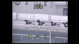 Monticello Raceway Presents SUPER JUAN \u0026 Howard Beissenger in Heat 3 of the 1981 Hambletonian.