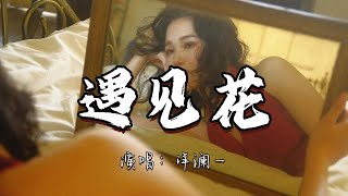 洋澜一 - 遇见花『我穿过这无人的荒漠 遇见了花一朵 刹那间 全世界都亮了。』『动态歌词MV』