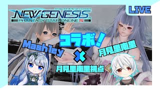 「PSO2NGS」ship3　チームメンバーの子とLv上げ上げ(/・ω・)/