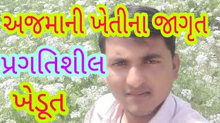 અજમાની ખેતીમાં કાઠું કાઢતાં દલડી ગામનાં પ્રગતિશીલ યુવાખેડૂત