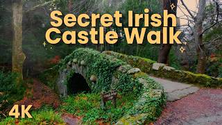 Misty & Mysterious Forest Stroll🕯️🌲 | Secret Castle Ruins of Tollymore, Ireland | 4K Nature Ambience