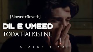 Dil E Umeed toda hai kisi ne - (Slowed+Reverb) Nusrat fateh ali khan | Lofi mix | Status4you85