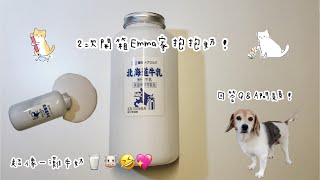 第2次開箱Emma家的抱抱奶🥛🐮回答前2週的Q\u0026A問題！💖😻