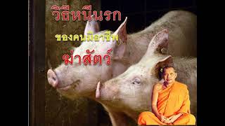 วิธีหนีนรกของคนมีอาชีพฆ่าสัตว์       หลวงพ่อฤาษีลิงดำ