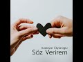 söz verirem