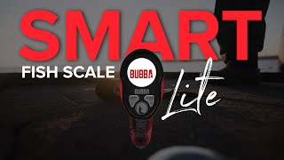 Smart Fish Scale Lite | BUBBA