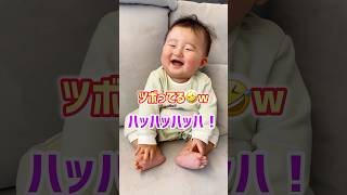 【永久保存版】赤ちゃん笑い袋😂💕 #大爆笑  #生後8ヵ月 #baby