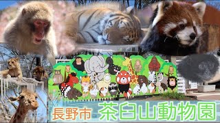 長野市 茶臼山動物園40周年