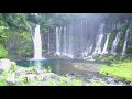 日本｜再遇富士 meet at mt. fuji @ japan 2019