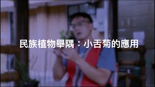 鄒族山林智慧─民族植物文化影音檢索教案：民族植物舉隅：小舌菊的應用