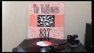 The Wallflowers - 83.7 (12inch)