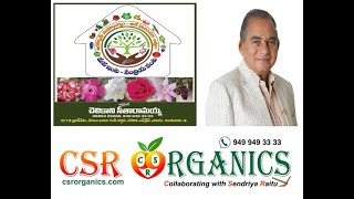 CSR organics - How to Adenuim grafting by చెలికాని సీతారామయ్య (9885229289)