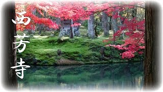 2019苔と紅葉の競演＆御朱印【西芳寺（苔寺）】（京都市西京区）