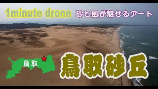 【1min. drone #36】鳥取県鳥取市・鳥取砂丘～砂と風の芸術～