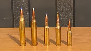 Hunting bullets tutorial. (what type of bullet best suits your hunt)