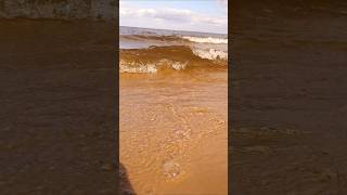 Хвиля на Київському морі! Природа України🌊Wave on the Kyiv Sea! Nature of Ukraine🌊