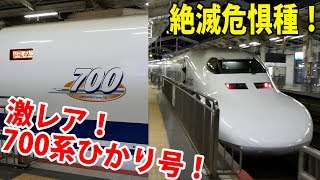 【700系16両】しあわせの700系16両ひかり！700系定期運用のひかり444号新大阪行き！岡山駅到着＆発車【鉄道動画コレクション じっくり編 #634】