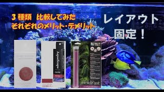 ライブロック固定！　安心レイアウト！　【海水魚水槽】