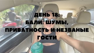 День 18: Незваный гость, шумы Бали и ремонт ноутбука